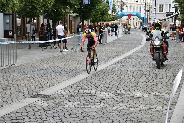 的有力展示 的有力展示