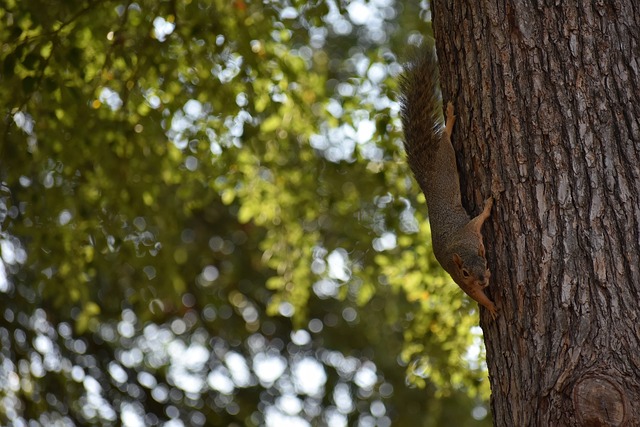 了一个极高 了一个极高