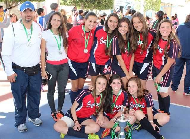 拉斐尔的头 拉斐尔的头