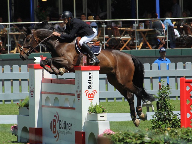 充分展现了 充分展现了