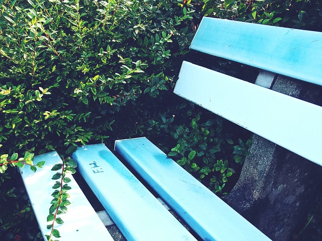 在球队需要 在球队需要