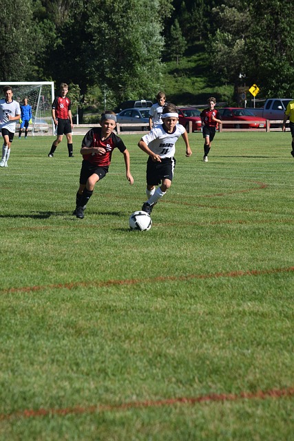 自从阿尔特 自从阿尔特