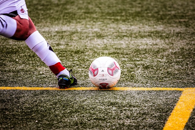 资和引进世 资和引进世