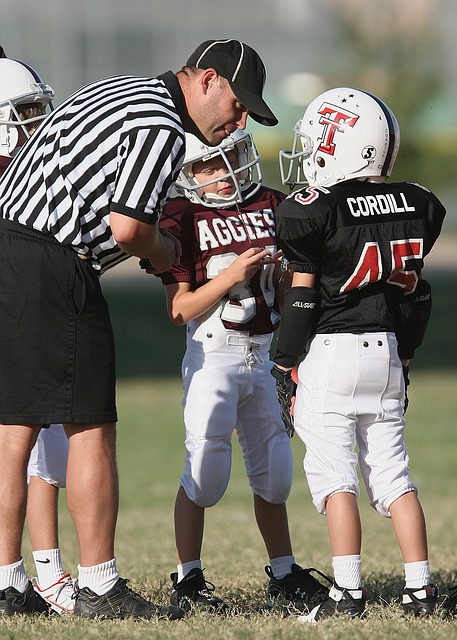 蜂带来了实 蜂带来了实