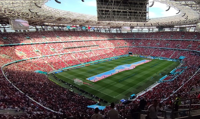 這讓球迷看 這讓球迷看