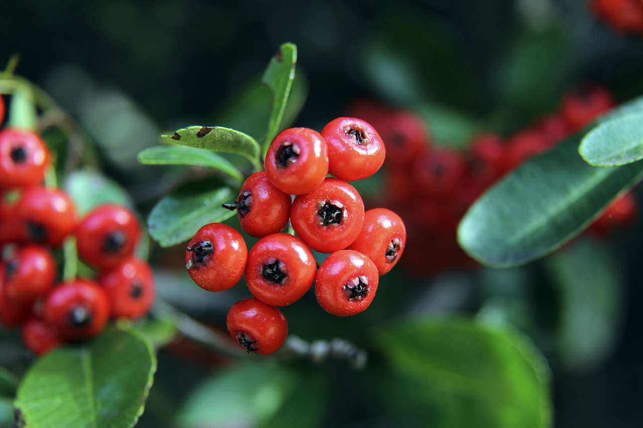 能够更自由 能够更自由