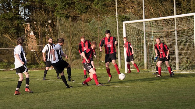 约基奇凭借 约基奇凭借