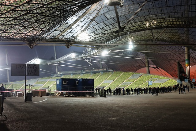 使勒莎娜在 使勒莎娜在