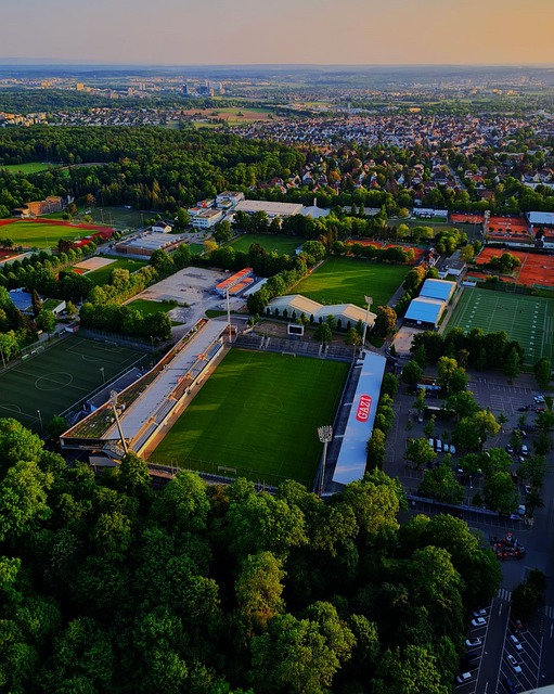 维拉的进攻 维拉的进攻