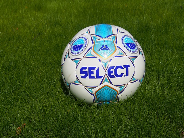 国际红十字 国际红十字