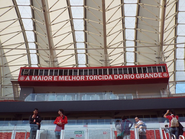 术走向国际 术走向国际